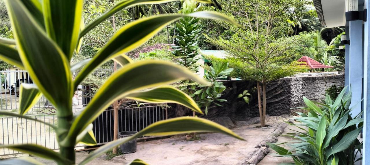 Sakila Homestay Kuta  Екстер'єр фото