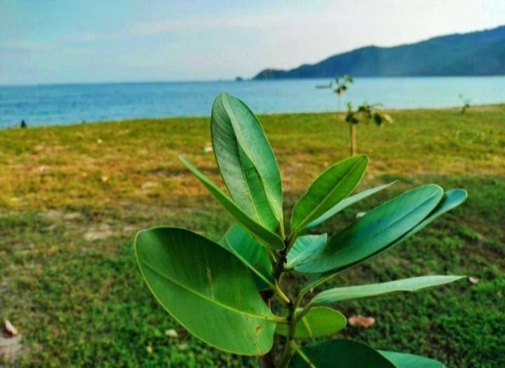 Sakila Homestay Kuta  Екстер'єр фото